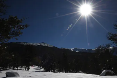 DSC_4899 (Large).JPG